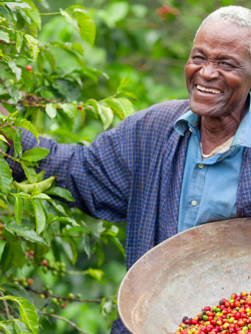 Aafrika farmer korjamas kohviube, fair trade logo ja silt