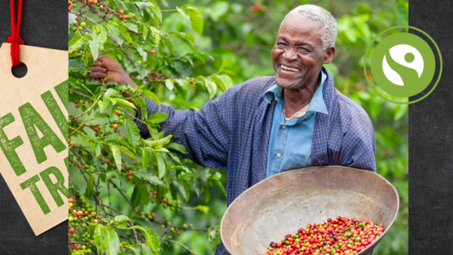 Aafrika farmer korjamas kohviube, fair trade logo ja silt