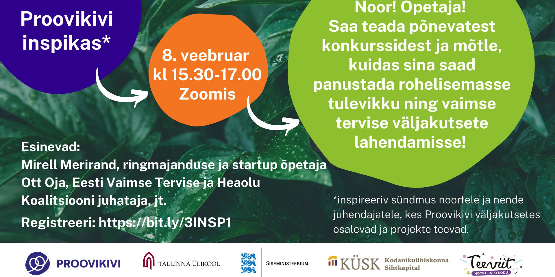 Proovikivi inspikas FB