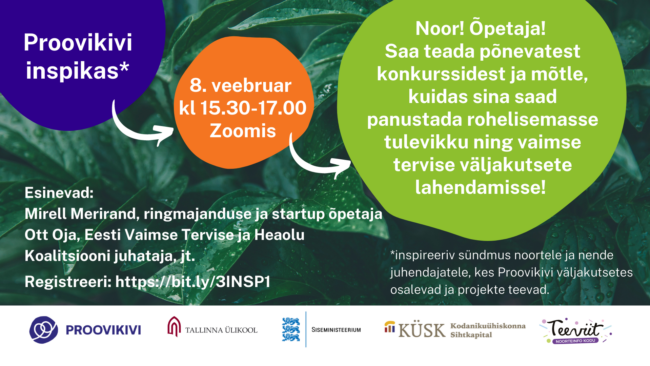 Proovikivi inspikas FB