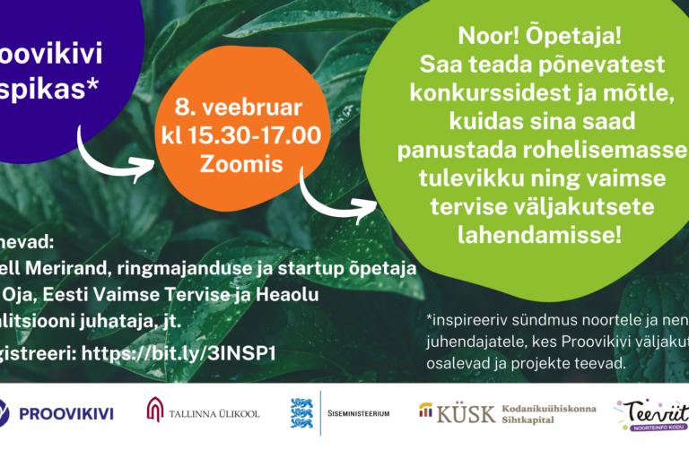 Proovikivi inspikas FB